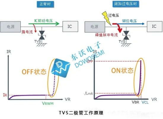 tvs2在 tvs2在详细介绍及使用方法