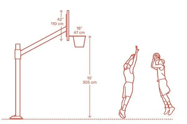 篮球架尺寸和高度标准详解，让你更懂篮球运动-第3张图片-www.211178.com_果博福布斯